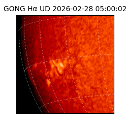 gong - 2026-02-28T05:00:02