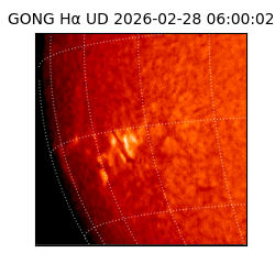 gong - 2026-02-28T06:00:02