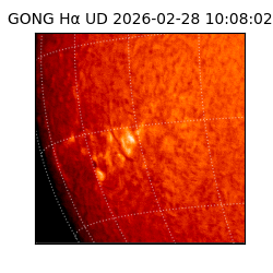 gong - 2026-02-28T10:08:02