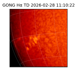 gong - 2026-02-28T11:10:22