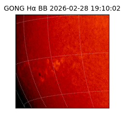 gong - 2026-02-28T19:10:02