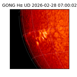 gong - 2026-02-28T07:00:02
