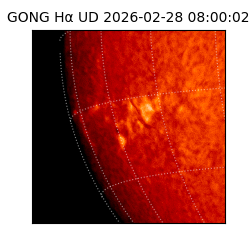gong - 2026-02-28T08:00:02