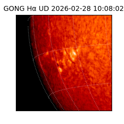 gong - 2026-02-28T10:08:02