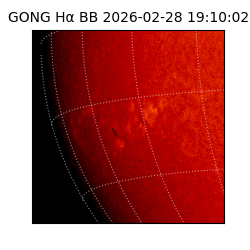 gong - 2026-02-28T19:10:02