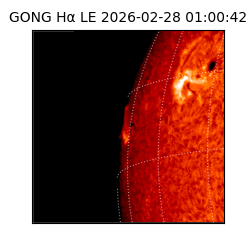 gong - 2026-02-28T01:00:42