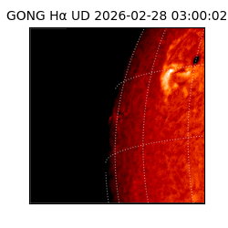 gong - 2026-02-28T03:00:02