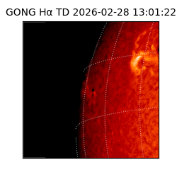 gong - 2026-02-28T13:01:22