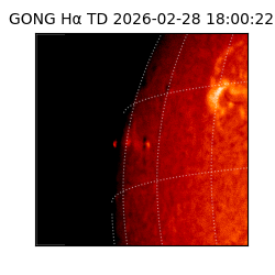 gong - 2026-02-28T18:00:22