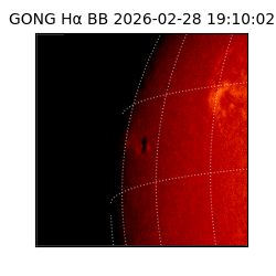 gong - 2026-02-28T19:10:02
