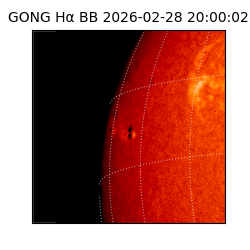 gong - 2026-02-28T20:00:02