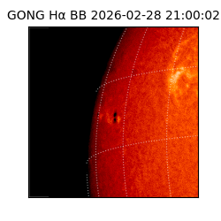 gong - 2026-02-28T21:00:02