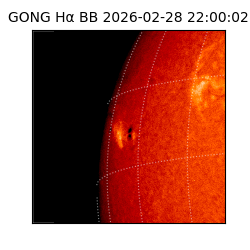 gong - 2026-02-28T22:00:02