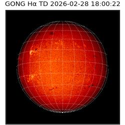 gong - 2026-02-28T18:00:22
