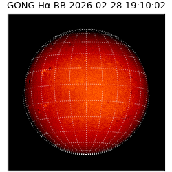 gong - 2026-02-28T19:10:02