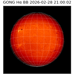 gong - 2026-02-28T21:00:02