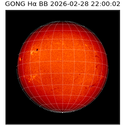 gong - 2026-02-28T22:00:02