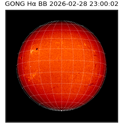 gong - 2026-02-28T23:00:02