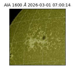 saia - 2026-03-01T07:00:14.133000