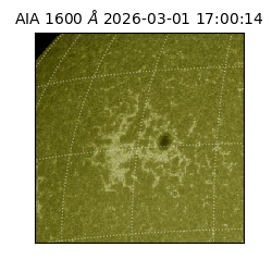 saia - 2026-03-01T17:00:14.133000