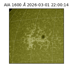 saia - 2026-03-01T22:00:14.131000