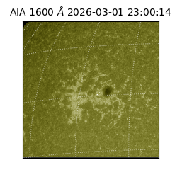 saia - 2026-03-01T23:00:14.121000