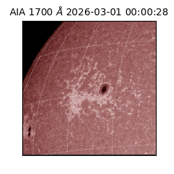 saia - 2026-03-01T00:00:28.717000