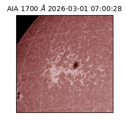 saia - 2026-03-01T07:00:28.713000