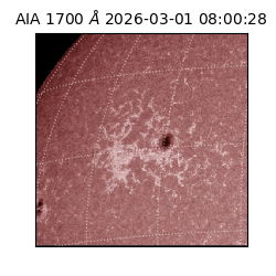 saia - 2026-03-01T08:00:28.717000