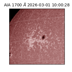 saia - 2026-03-01T10:00:28.717000