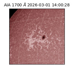 saia - 2026-03-01T14:00:28.717000