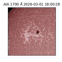 saia - 2026-03-01T18:00:28.712000