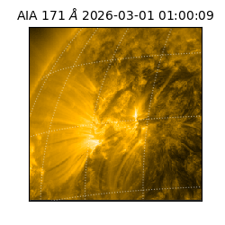 saia - 2026-03-01T01:00:09.353000