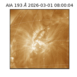 saia - 2026-03-01T08:00:04.835000