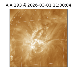 saia - 2026-03-01T11:00:04.835000