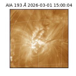 saia - 2026-03-01T15:00:04.843000