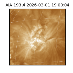 saia - 2026-03-01T19:00:04.835000