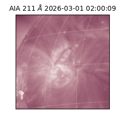 saia - 2026-03-01T02:00:09.629000