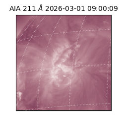 saia - 2026-03-01T09:00:09.618000