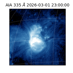 saia - 2026-03-01T23:00:00.625000