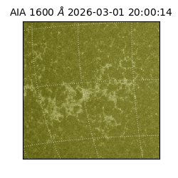 saia - 2026-03-01T20:00:14.131000