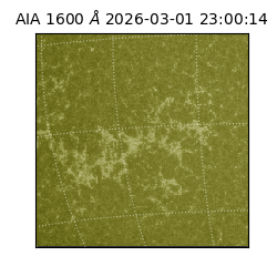 saia - 2026-03-01T23:00:14.121000