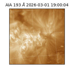 saia - 2026-03-01T19:00:04.835000