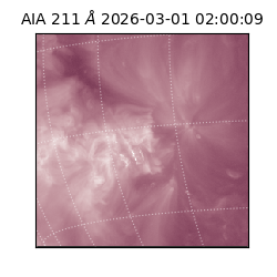 saia - 2026-03-01T02:00:09.629000