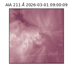 saia - 2026-03-01T09:00:09.618000