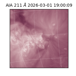 saia - 2026-03-01T19:00:09.618000