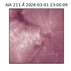 saia - 2026-03-01T23:00:09.619000