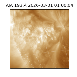 saia - 2026-03-01T01:00:04.843000