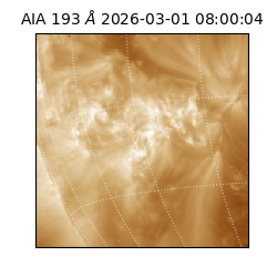 saia - 2026-03-01T08:00:04.835000