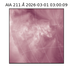 saia - 2026-03-01T03:00:09.623000